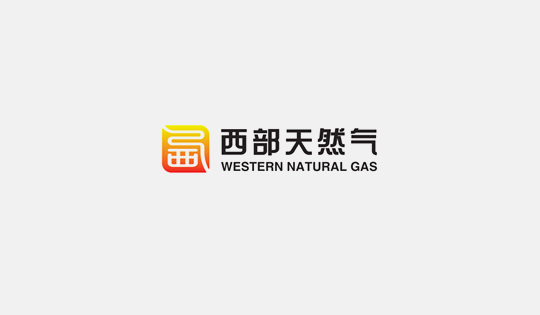西部天然气公司与上海电力股份有限公司召开座谈会